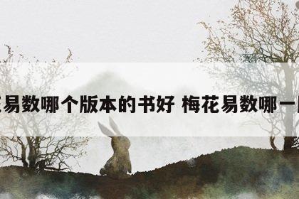 梅花易数哪个版本的书好 梅花易数哪一版好