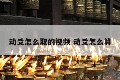 动爻怎么取的视频 动爻怎么算