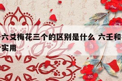 六壬六爻梅花三个的区别是什么 六壬和梅花哪个实用