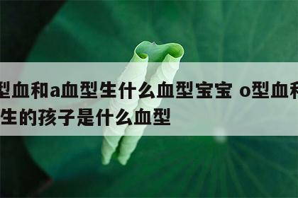 o型血和a血型生什么血型宝宝 o型血和a血生的孩子是什么血型