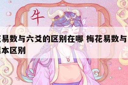 梅花易数与六爻的区别在哪 梅花易数与六爻的根本区别