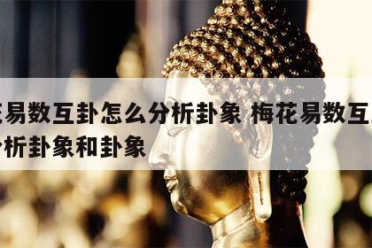 梅花易数互卦怎么分析卦象 梅花易数互卦怎么分析卦象和卦象