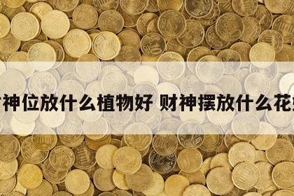 财神位放什么植物好 财神摆放什么花好