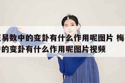 梅花易数中的变卦有什么作用呢图片 梅花易数中的变卦有什么作用呢图片视频