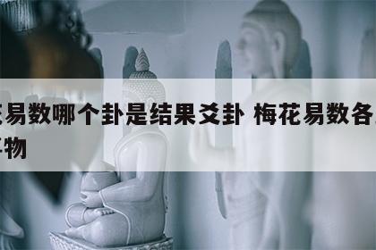 梅花易数哪个卦是结果爻卦 梅花易数各卦对应事物