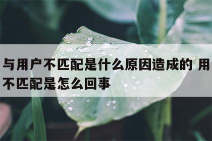 姓名与用户不匹配是什么原因造成的 用户与姓名不匹配是怎么回事