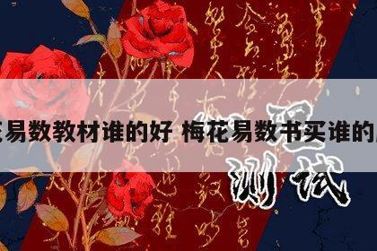梅花易数教材谁的好 梅花易数书买谁的版本