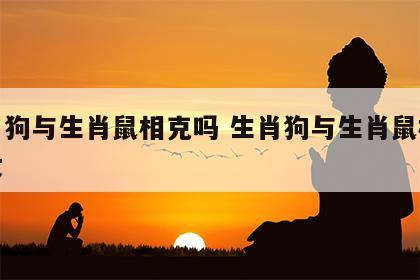 生肖狗与生肖鼠相克吗 生肖狗与生肖鼠相克吗女