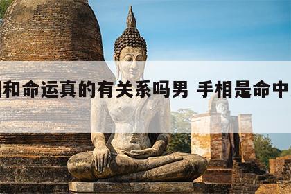 手相和命运真的有关系吗男 手相是命中注定吗?