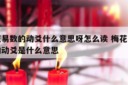 梅花易数的动爻什么意思呀怎么读 梅花易数里的动爻是什么意思