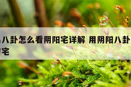周易八卦怎么看阴阳宅详解 用阴阳八卦怎么看房宅
