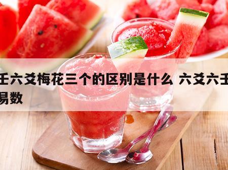 六壬六爻梅花三个的区别是什么 六爻六壬梅花易数