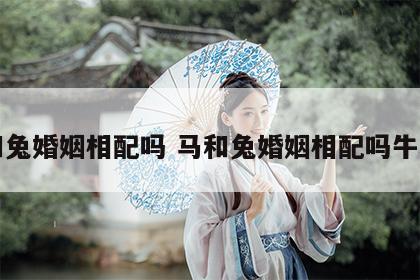马和兔婚姻相配吗 马和兔婚姻相配吗牛和兔