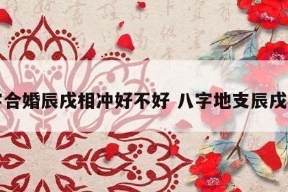 八字合婚辰戌相冲好不好 八字地支辰戌相冲