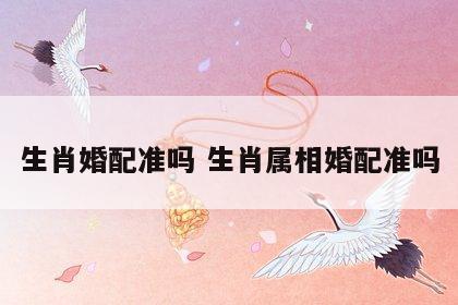 生肖婚配准吗 生肖属相婚配准吗