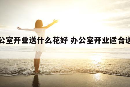 办公室开业送什么花好 办公室开业适合送什么