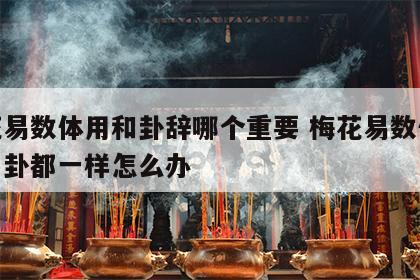 梅花易数体用和卦辞哪个重要 梅花易数体卦和用卦都一样怎么办