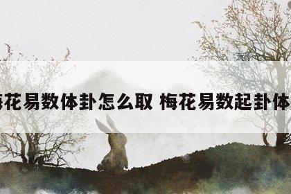 梅花易数体卦怎么取 梅花易数起卦体用