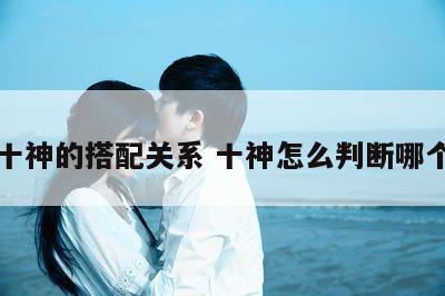 四柱十神的搭配关系 十神怎么判断哪个为主
