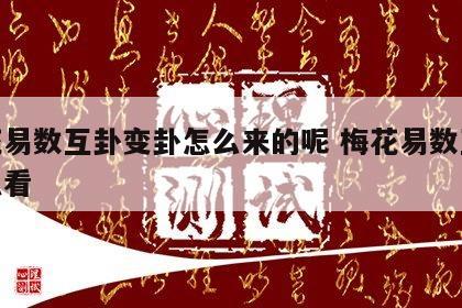 梅花易数互卦变卦怎么来的呢 梅花易数互卦怎么看