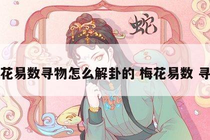 梅花易数寻物怎么解卦的 梅花易数 寻物