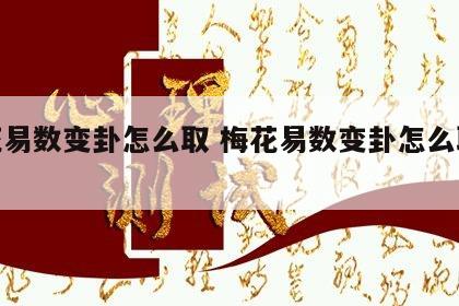 梅花易数变卦怎么取 梅花易数变卦怎么取体用