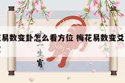 梅花易数变卦怎么看方位 梅花易数变爻怎么确定