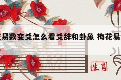 梅花易数变爻怎么看爻辞和卦象 梅花易数求变爻