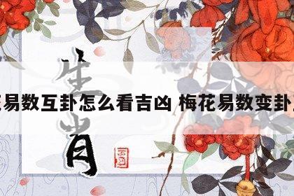 梅花易数互卦怎么看吉凶 梅花易数变卦互卦