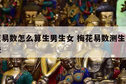 梅花易数怎么算生男生女 梅花易数测生男女口诀