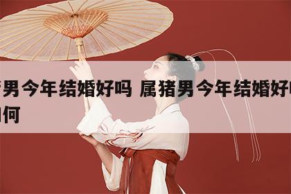 属猪男今年结婚好吗 属猪男今年结婚好吗婚姻如何
