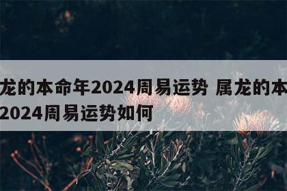 属龙的本命年2024周易运势 属龙的本命年2024周易运势如何