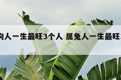 属狗人一生最旺3个人 属兔人一生最旺3个人