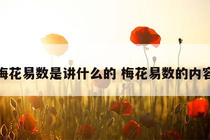 梅花易数是讲什么的 梅花易数的内容