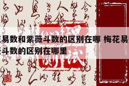 梅花易数和紫薇斗数的区别在哪 梅花易数和紫薇斗数的区别在哪里