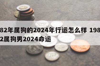 82年属狗的2024年行运怎么样 1982属狗男2024命运