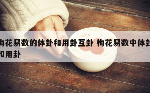 梅花易数的体卦和用卦互卦 梅花易数中体卦和用卦