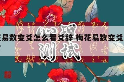 梅花易数变爻怎么看爻辞 梅花易数变爻从上往下