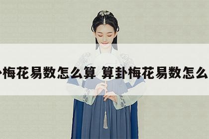 算卦梅花易数怎么算 算卦梅花易数怎么算的