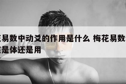 梅花易数中动爻的作用是什么 梅花易数动爻到底是体还是用