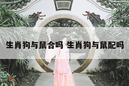 生肖狗与鼠合吗 生肖狗与鼠配吗