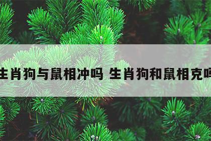 生肖狗与鼠相冲吗 生肖狗和鼠相克吗