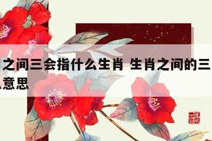 生肖之间三会指什么生肖 生肖之间的三会是什么意思