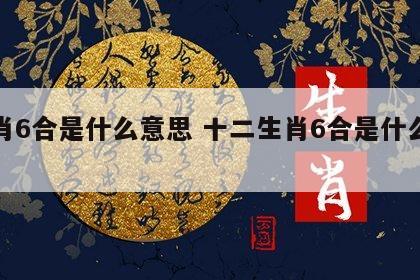 生肖6合是什么意思 十二生肖6合是什么意思