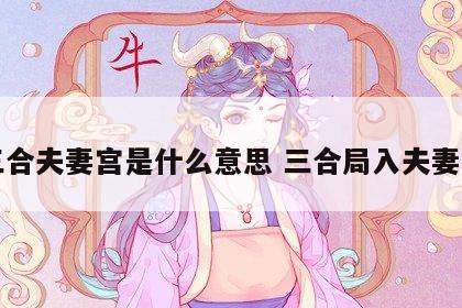 三合夫妻宫是什么意思 三合局入夫妻宫