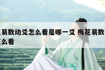 梅花易数动爻怎么看是哪一爻 梅花易数的动爻怎么看