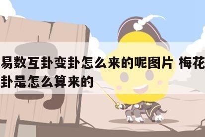 梅花易数互卦变卦怎么来的呢图片 梅花易数中互卦是怎么算来的