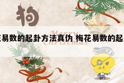 梅花易数的起卦方法真伪 梅花易数的起卦方式