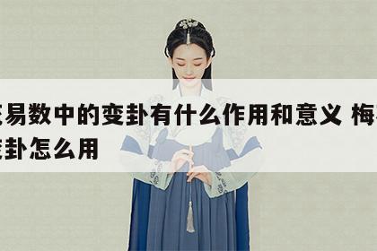 梅花易数中的变卦有什么作用和意义 梅花易数变卦怎么用