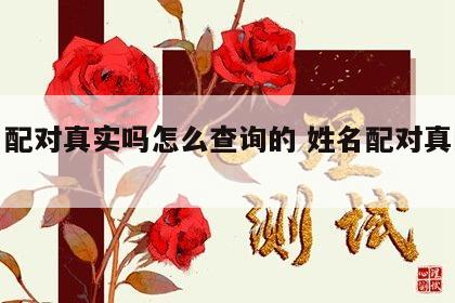 姓名配对真实吗怎么查询的 姓名配对真的准吗